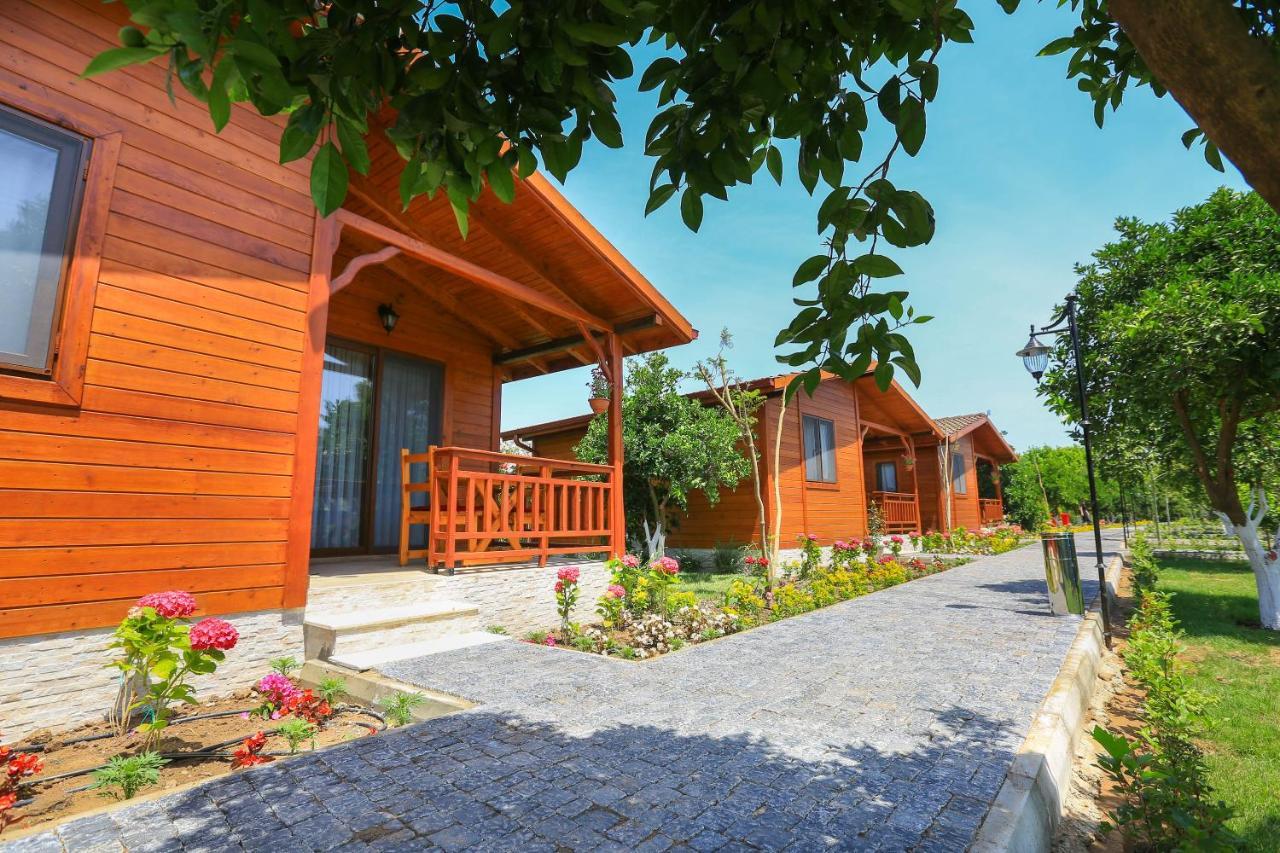 Merry Bungalow & Tent Çıralı Exterior foto